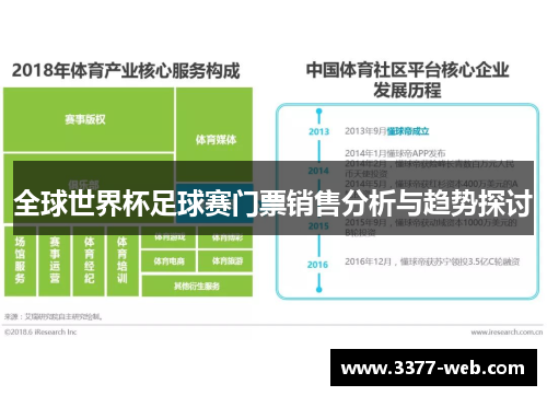 全球世界杯足球赛门票销售分析与趋势探讨