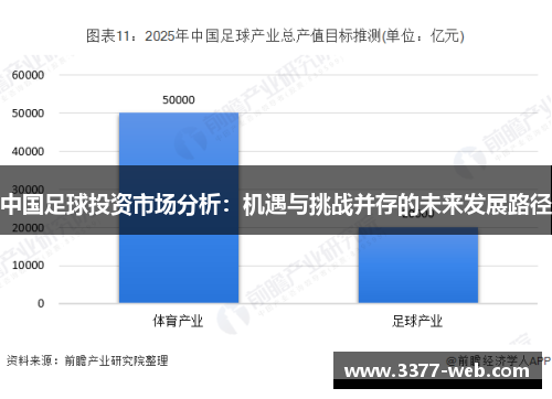 中国足球投资市场分析：机遇与挑战并存的未来发展路径