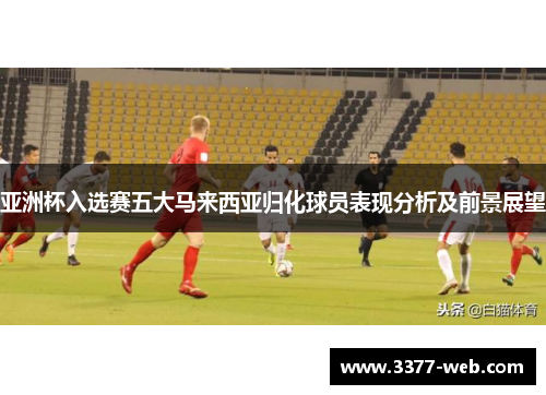 亚洲杯入选赛五大马来西亚归化球员表现分析及前景展望