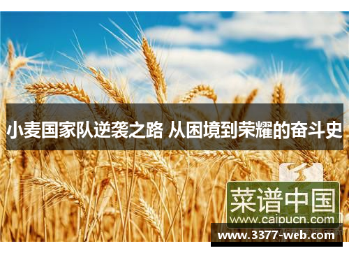 小麦国家队逆袭之路 从困境到荣耀的奋斗史