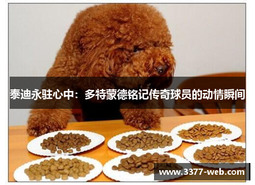 泰迪永驻心中：多特蒙德铭记传奇球员的动情瞬间
