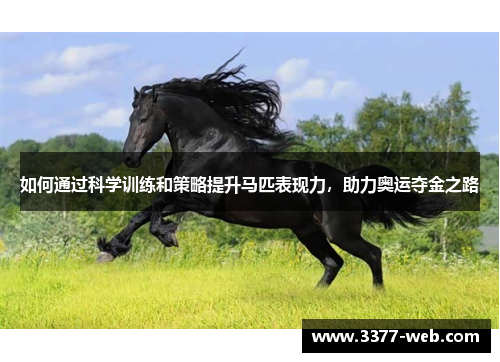 如何通过科学训练和策略提升马匹表现力，助力奥运夺金之路